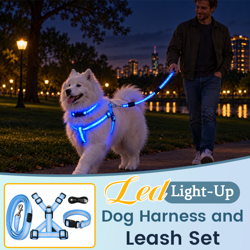 🐾🐕LED Dog Harness & Leash Set — Bright Night Walks, Easier to Spot After Dark