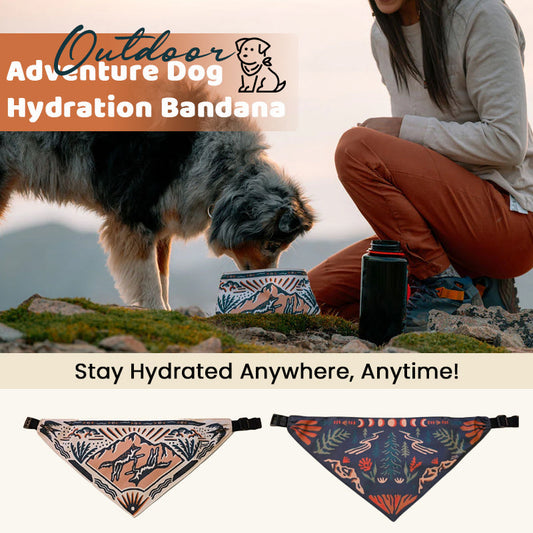 💧Keep Your Pup Hydrated On The Go Effortlessly! 🐾