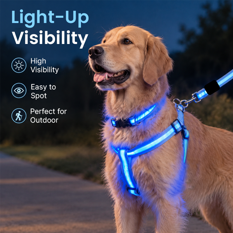🐾🐕LED Dog Harness & Leash Set — Bright Night Walks, Easier to Spot After Dark