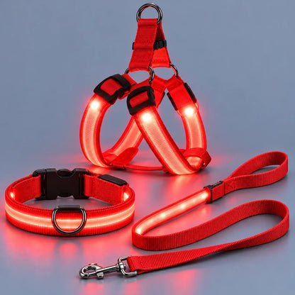 🐾🐕LED Dog Harness & Leash Set — Bright Night Walks, Easier to Spot After Dark