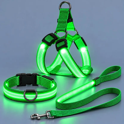🐾🐕LED Dog Harness & Leash Set — Bright Night Walks, Easier to Spot After Dark
