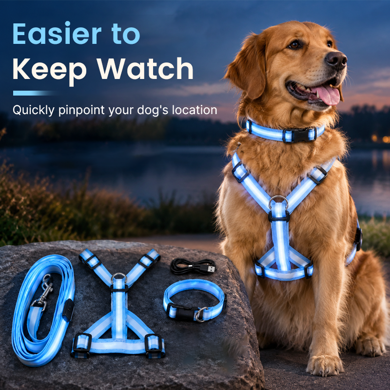 🐾🐕LED Dog Harness & Leash Set — Bright Night Walks, Easier to Spot After Dark