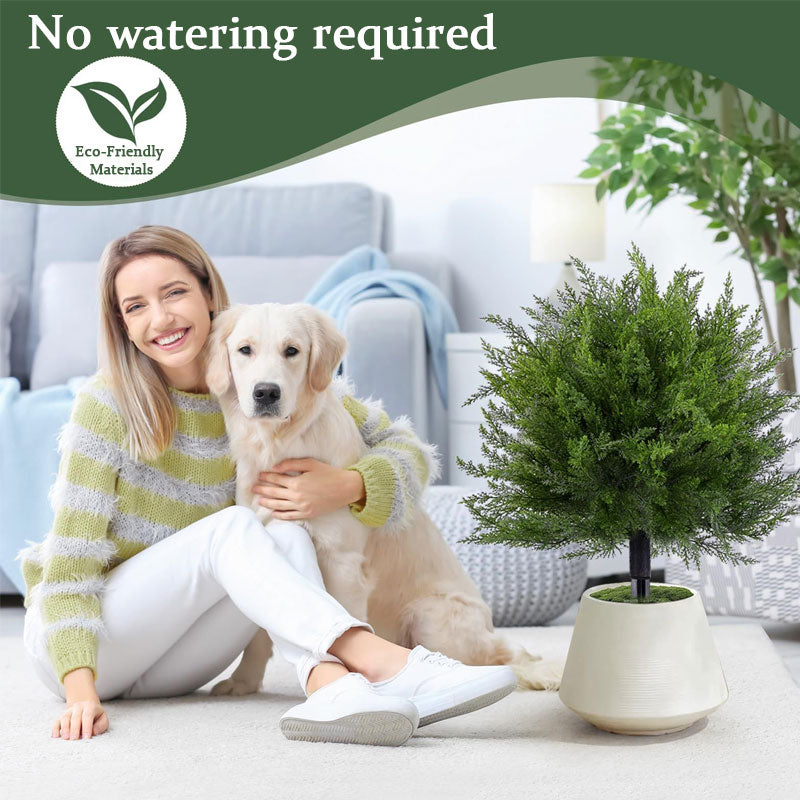 🌿Artificial Cedar Landscape Tree – Outdoor Porch & Garden Decor☀️