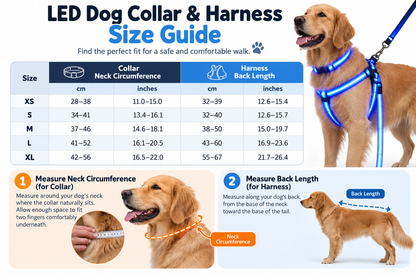 🐾🐕LED Dog Harness & Leash Set — Bright Night Walks, Easier to Spot After Dark